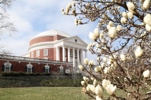 Rotunda Blossom